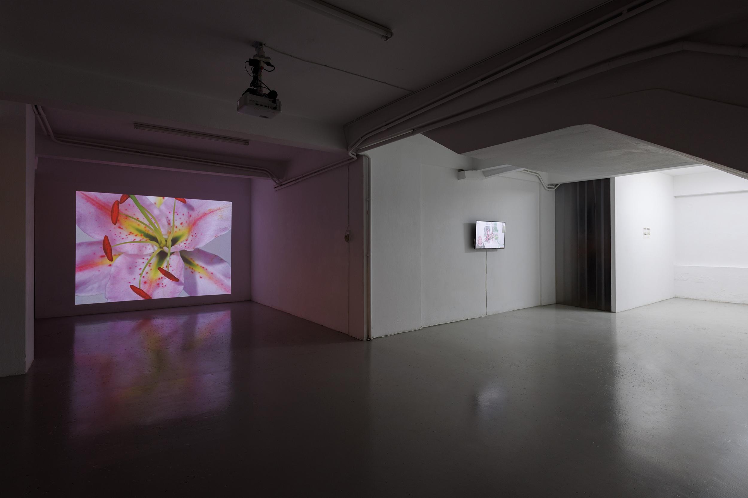 BUT SO IT GOES - Image 17