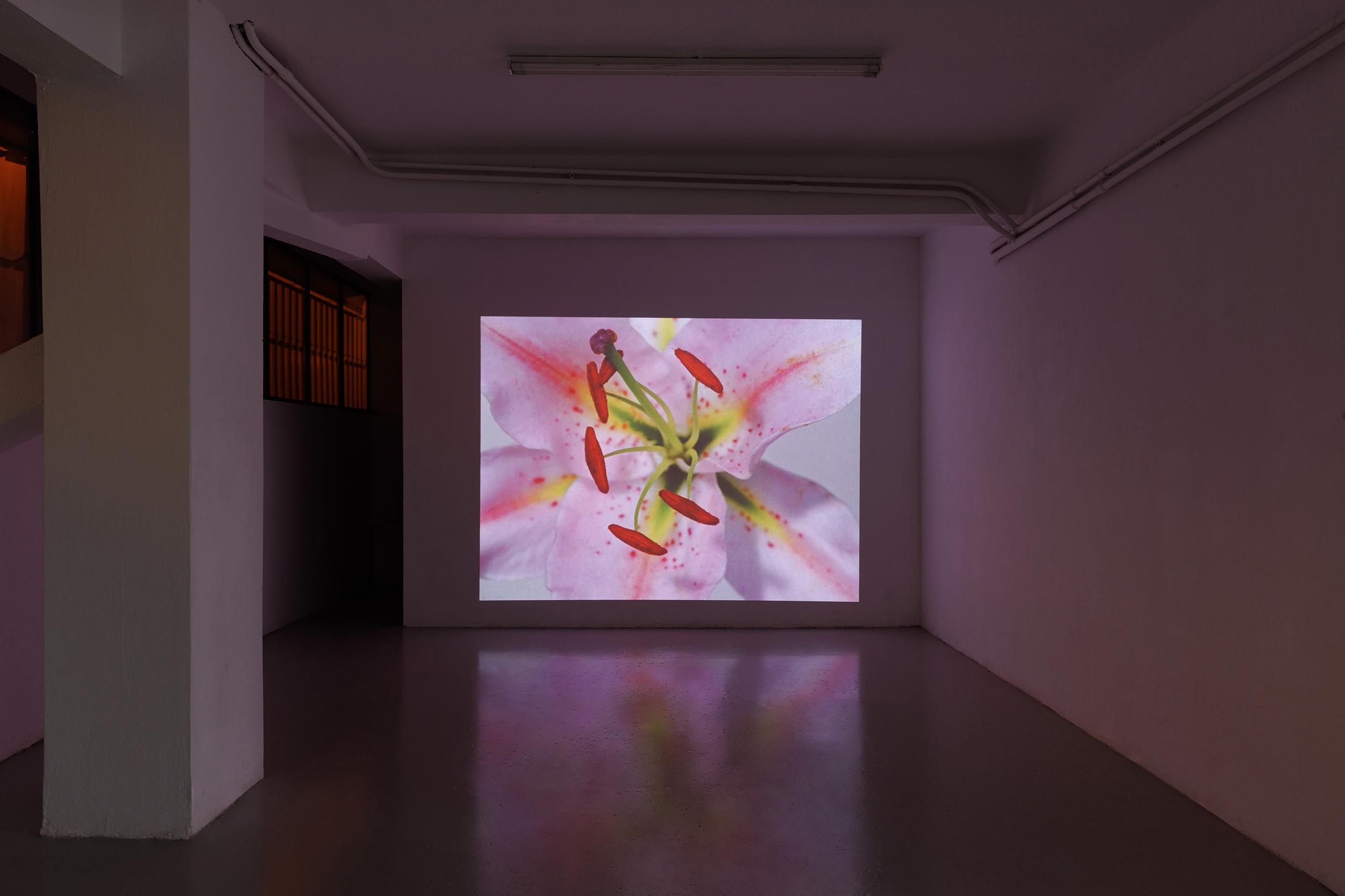 BUT SO IT GOES - Image 21